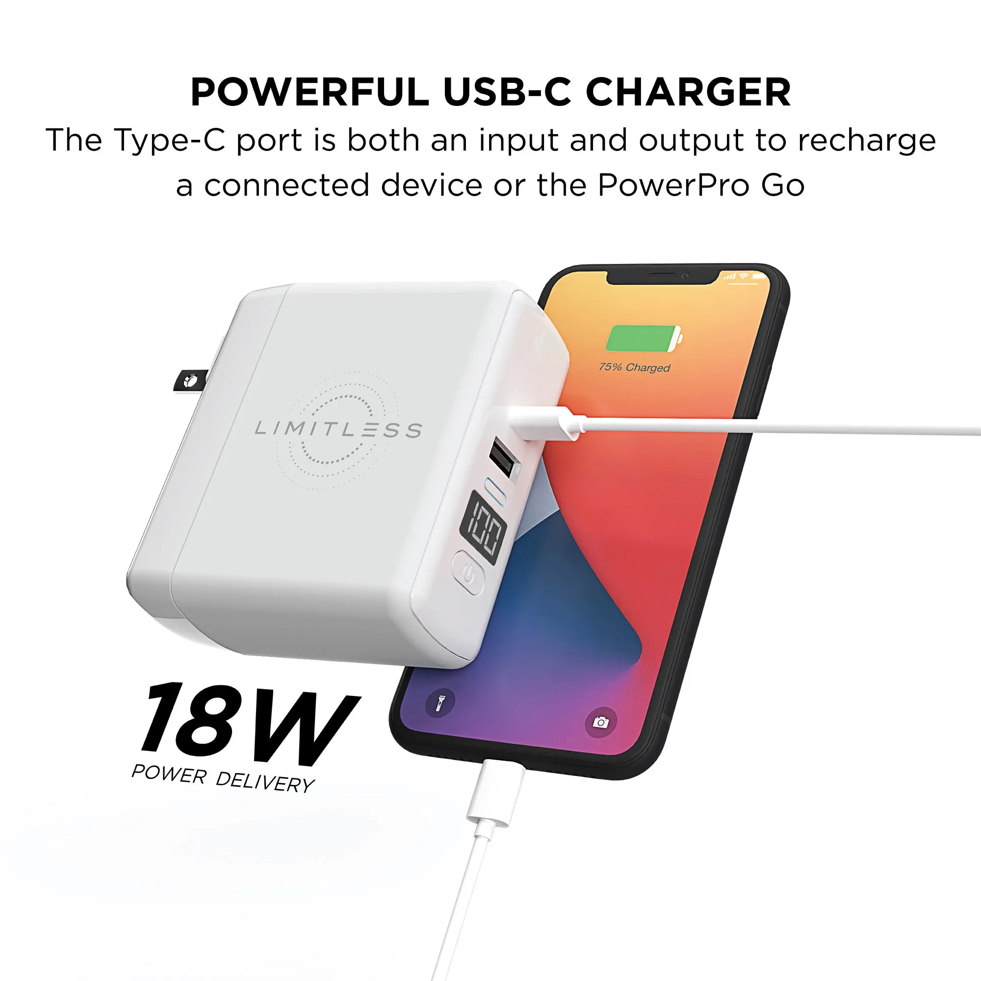 PowerPro Go - 3-In-1 Wall Charger and 10,000mAh Portable Power Bank with Digital Display - Powered by ChargeHub